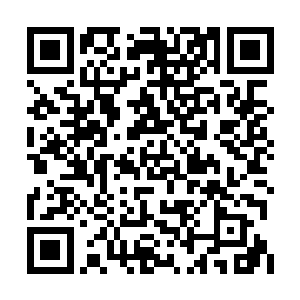 自己所拥有的全部妖核都交给风翼妖龙吞食的话二维码生成