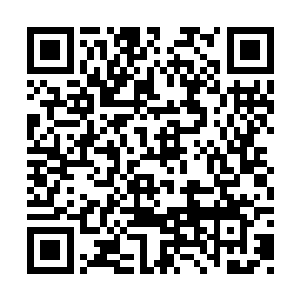 自己早已下定决心要用全身真正实力与对方一战二维码生成