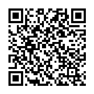 自己明明已经将得罪的人全都狠狠的收拾了一顿才对啊二维码生成