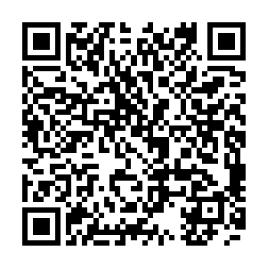 自己是不是也应该给他们一个重新拥有一个健康的积极向上的生活的机会二维码生成