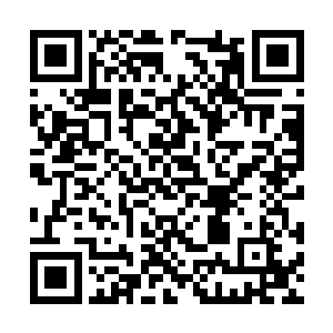 自己木行之力的品相应该是高于金乌真火的品相的二维码生成