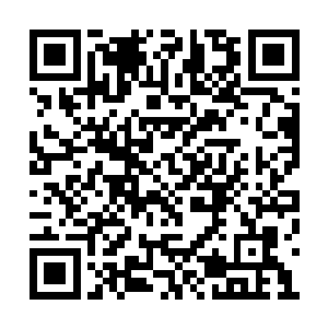 自己没什么名气让人看不到把船租给自己的利益二维码生成