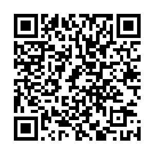 自己满身的狼藉还是想自己躲在某个山洞里独自舔着伤口的二维码生成
