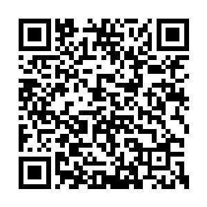 自己现在做的这些工程有赖于苟延生的时候不少二维码生成
