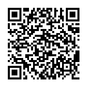 自己的儿子怎么说在异国他乡的算是有了一点儿根基二维码生成