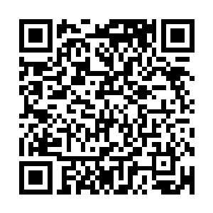 自己的叔叔张太白已经被责令到仪阳城接受家族长老会的问询二维码生成