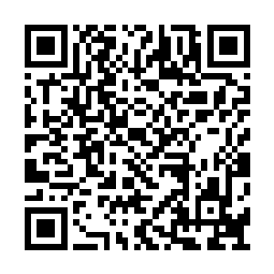 自己的实力水平不会因为榜首或是榜尾而有增减二维码生成