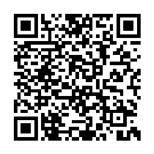 自己的弟弟从来都没有插手这个方面事情的意思二维码生成