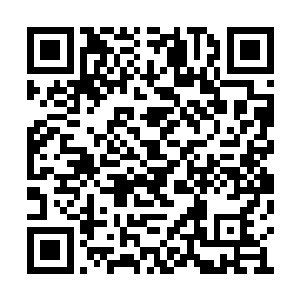 自己的敌人一直都是在看小丑表演一般看着自己二维码生成