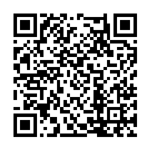 自己的灵力蜕变成现在这样虽然不知道是什么情况二维码生成