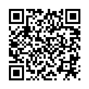 自己的猪总共从车上掉下來十五口二维码生成