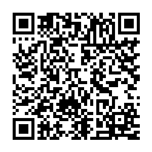 自己的身体会被钻入到身体中的能量子弹分化出来的能量流给撕成碎片二维码生成