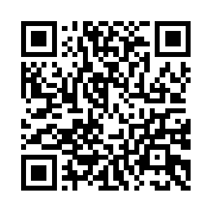 自己的这个理念会被家族嫡系一支接受吗二维码生成