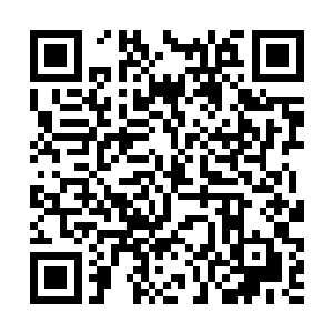 自己的这群兄弟――我是真不想把你们也拖累进来啊二维码生成