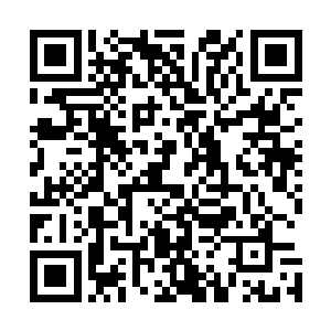自己的那位师叔隐隐地让她感觉到发生了一些说不清的变化二维码生成