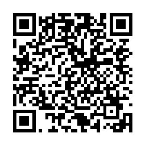 自己突然从自己的师弟身上面发现了相当的闪光点二维码生成