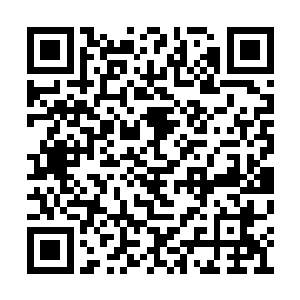 自己竟然能成为四大家族最后一支精锐的指挥官二维码生成
