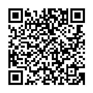 自己经常使用的网上导航网站居然是坐在自己不远处老板的作品二维码生成