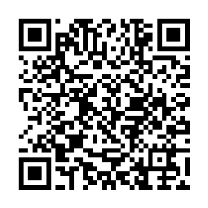自己耗费了大代价好不容易才布置出来的地火杀神阵二维码生成