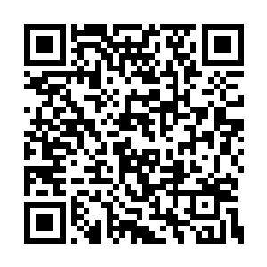 自己能够获得对方的情报得到顿悟般的巨大提升二维码生成