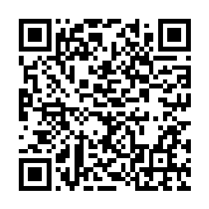 自己获得第一颗血脉之果蕴含的血脉能量只有361点二维码生成