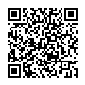 自己身边那个家伙虽说平日在家族里面不怎么对付二维码生成