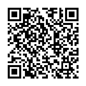 自己还是很是自私的忍不住有些焦急和渴望得到流年的帮助二维码生成