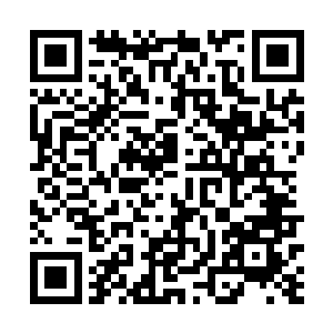 自己还没厉害到只上一年大学就能拿到学位证书的地步二维码生成