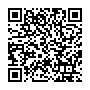自己这次带来的三十多个玩家都是刑天战队里精英中的精英二维码生成