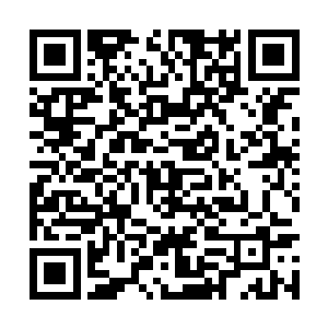 自己这段时间确实是把精力大部分放在了公安局里二维码生成