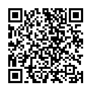 自己那一顿普通的不能再普通的饭菜能有如此惊人的效果二维码生成