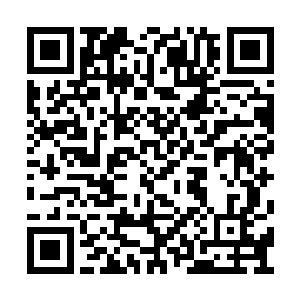 自己都说的这么明白了龙战竟然还在这装傻充愣二维码生成