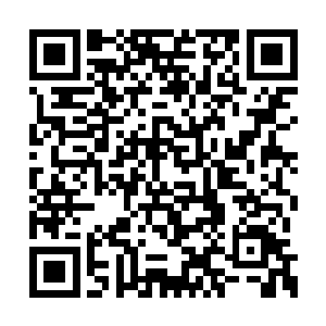 自然不会跟一只自称是发展中国家的华夏闹别扭二维码生成