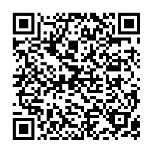 自然不是他一个连圣级都没有突破的执法队小队长能够搀和得起的了二维码生成