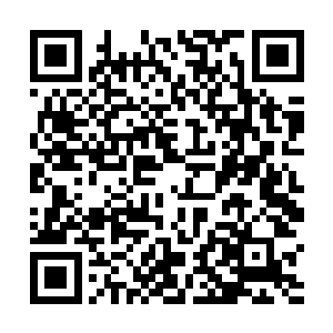 自然不是宁温怡这个领悟了五行奥义一年多天才的对手二维码生成