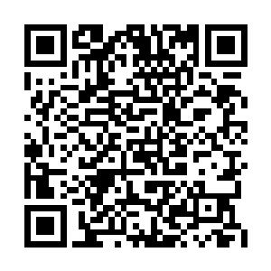 自然不知道现在皮球开始显示出越来越红的味道二维码生成