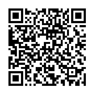 自然也不太可能会眼睁睁的看着孙子轩干掉小白龙二维码生成