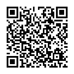 自然也不愿意逼迫这些身世原本就已经十分凄惨的青年二维码生成