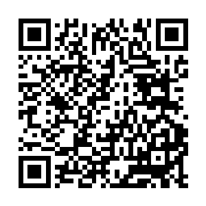 自然也会有人敢偷猎无心――和东北虎大熊猫相比二维码生成