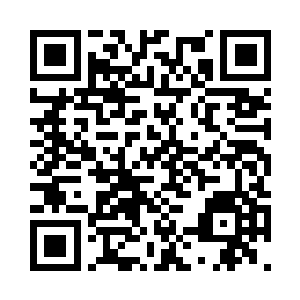 自然也是那只护山神兽的后裔了……二维码生成