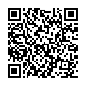 自然也能从各种夜视设备中发现隐藏在山坡底部的双方人员二维码生成