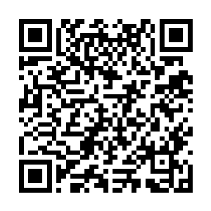 自然以三皇子和五皇子为首的几位皇子反对的最凶二维码生成