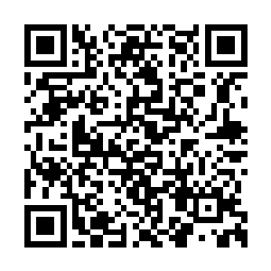 自然会想方设法的安插忠于自己的人在身旁帮手二维码生成