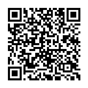 自然就会将顺着海潮而来的食物拿来供奉给肉身二维码生成