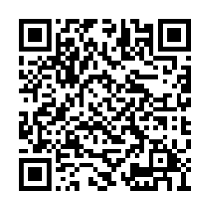 自然就是当初将她从飞云峰接走了那位圣殿长老二维码生成