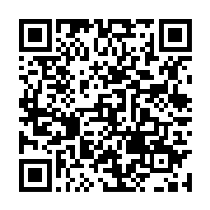 自然引起了整个北宁市上流社会的不安和惶恐……二维码生成