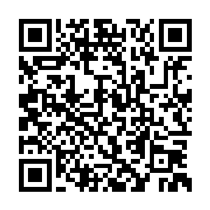 自然是打算先从旁边的阵法入手……阵法这东西二维码生成