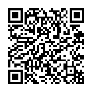 自然是抢走了老夫家族传承之宝夔牛山河印的贼子二维码生成