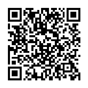 自然是现今被困在鳄蛟岛的这支海族军队和残剩的那些妖兽二维码生成