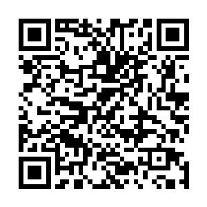 自然有专业的医生来给庄心妍的和安蓉蓉处理额头上的擦伤二维码生成